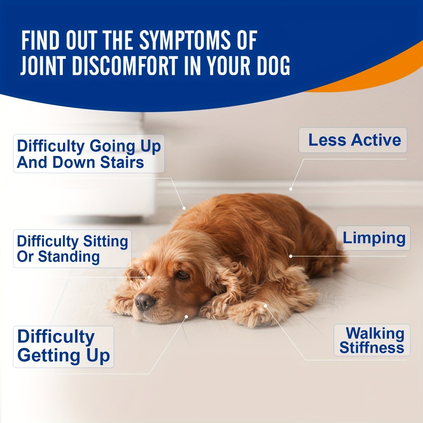 Dog Glucosamine Joint Supplement Chews 120ct | Chicken Flavor Soft Chews with Glucosamine, Chondroitin, MSM & Vitamins for Hip & Joint Health, Mobility Support for Dogs of All Sizes & Ages