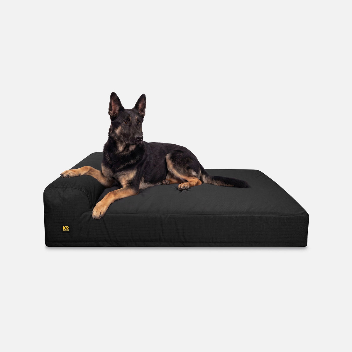 Pet Beds & Bedding