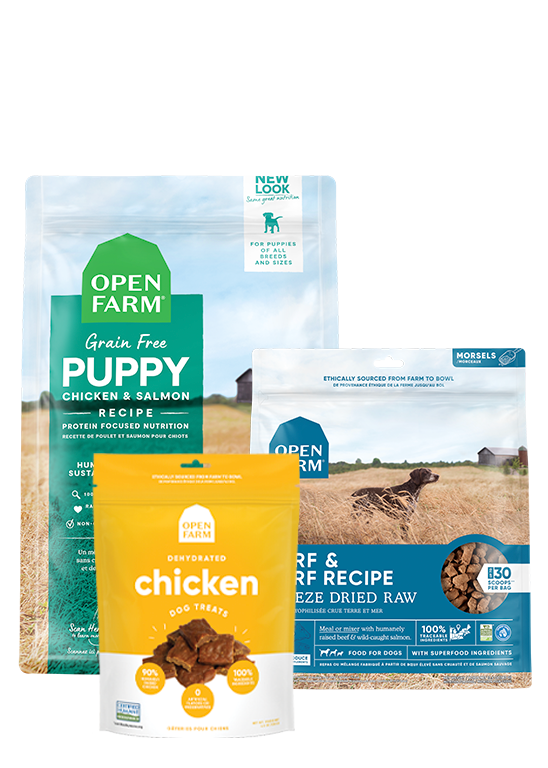 Pet Food