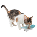 Elevated Oval Ceramic Cat Bowl with Wide Whisker-Friendly Shape for Wet or Dry Food and Easier Mealtimes source image 1