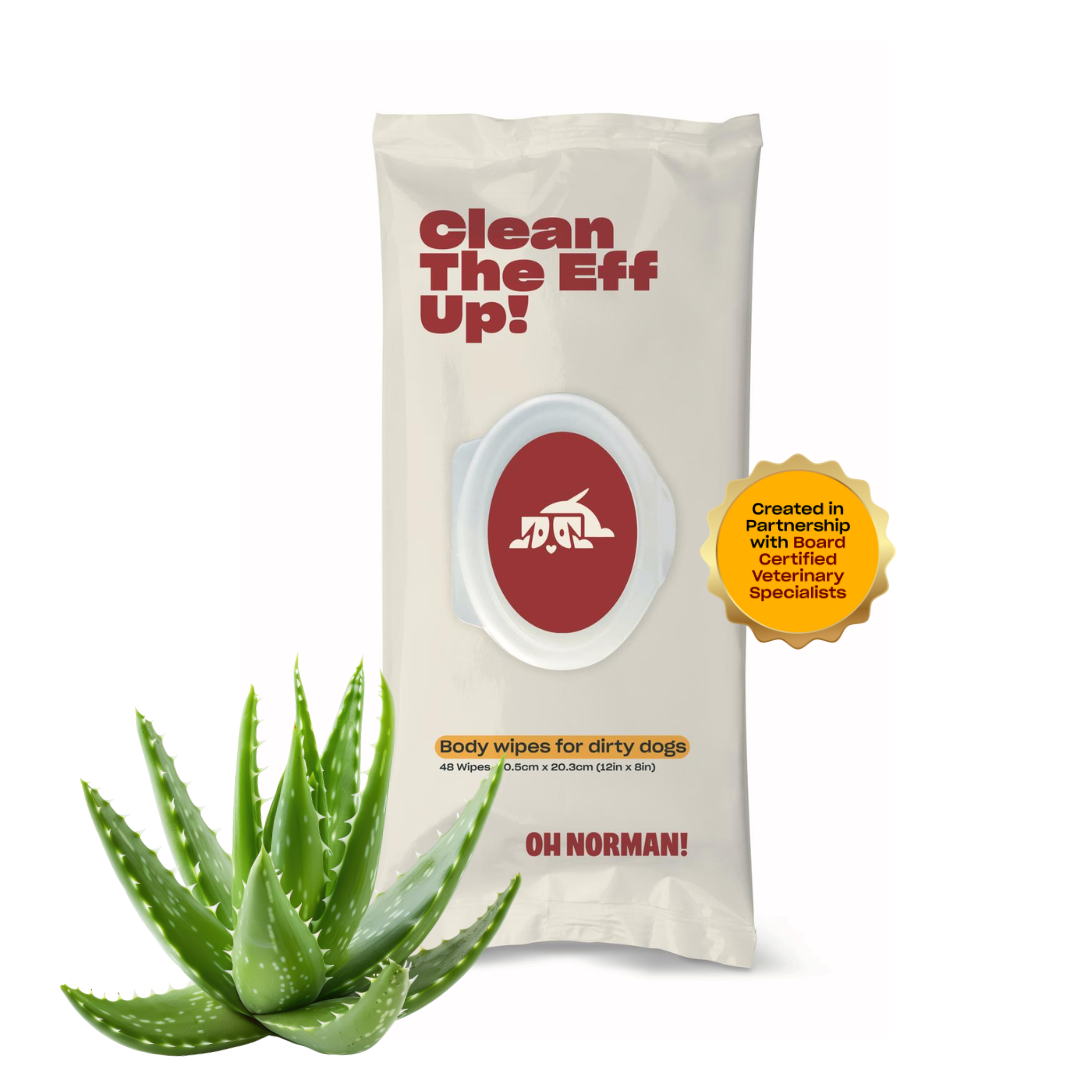 Large Dog Body Wipes for Everyday Cleanup, 48 Count Pack Developed with Veterinary Specialists source image 1
