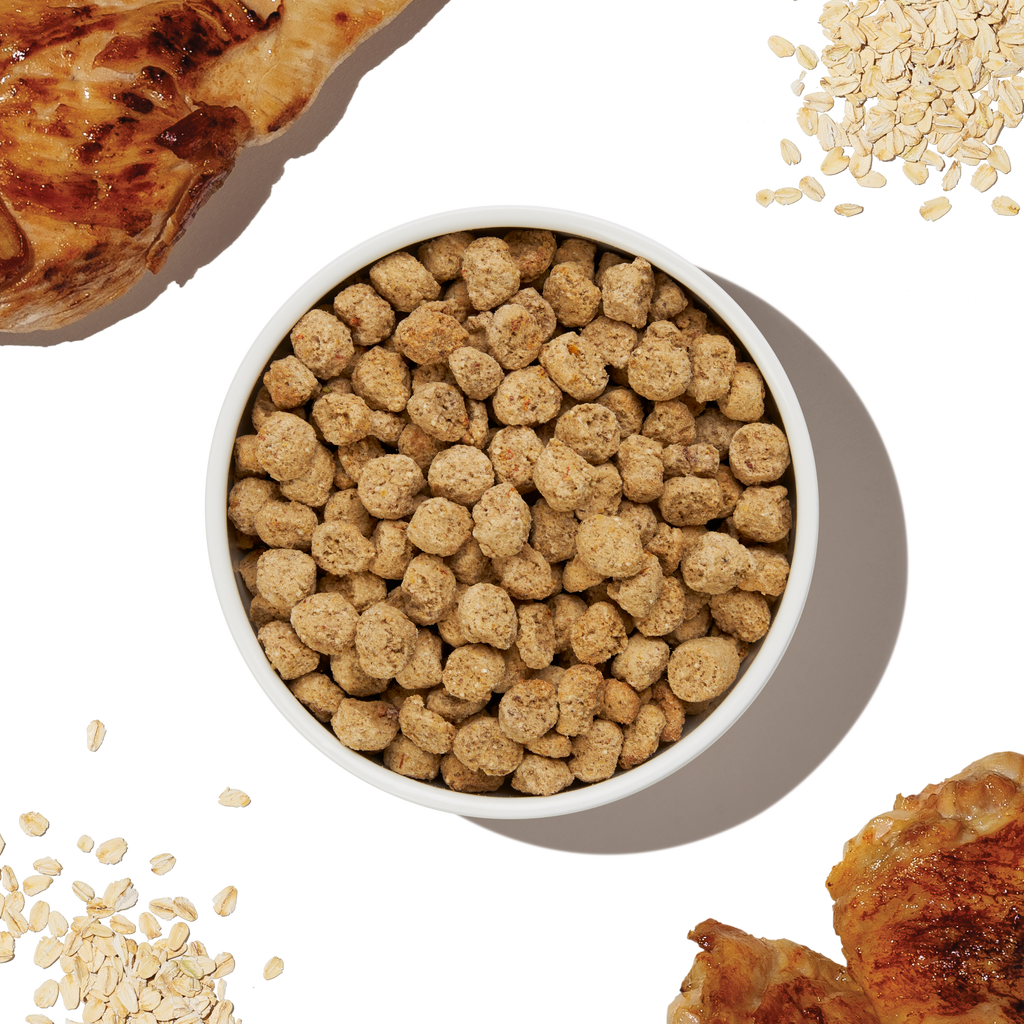 Whole Grain Chicken Dry Dog Food Clusters, Minimally Processed Human-Grade Recipe in 5 lb and 20 lb Bags source image 1