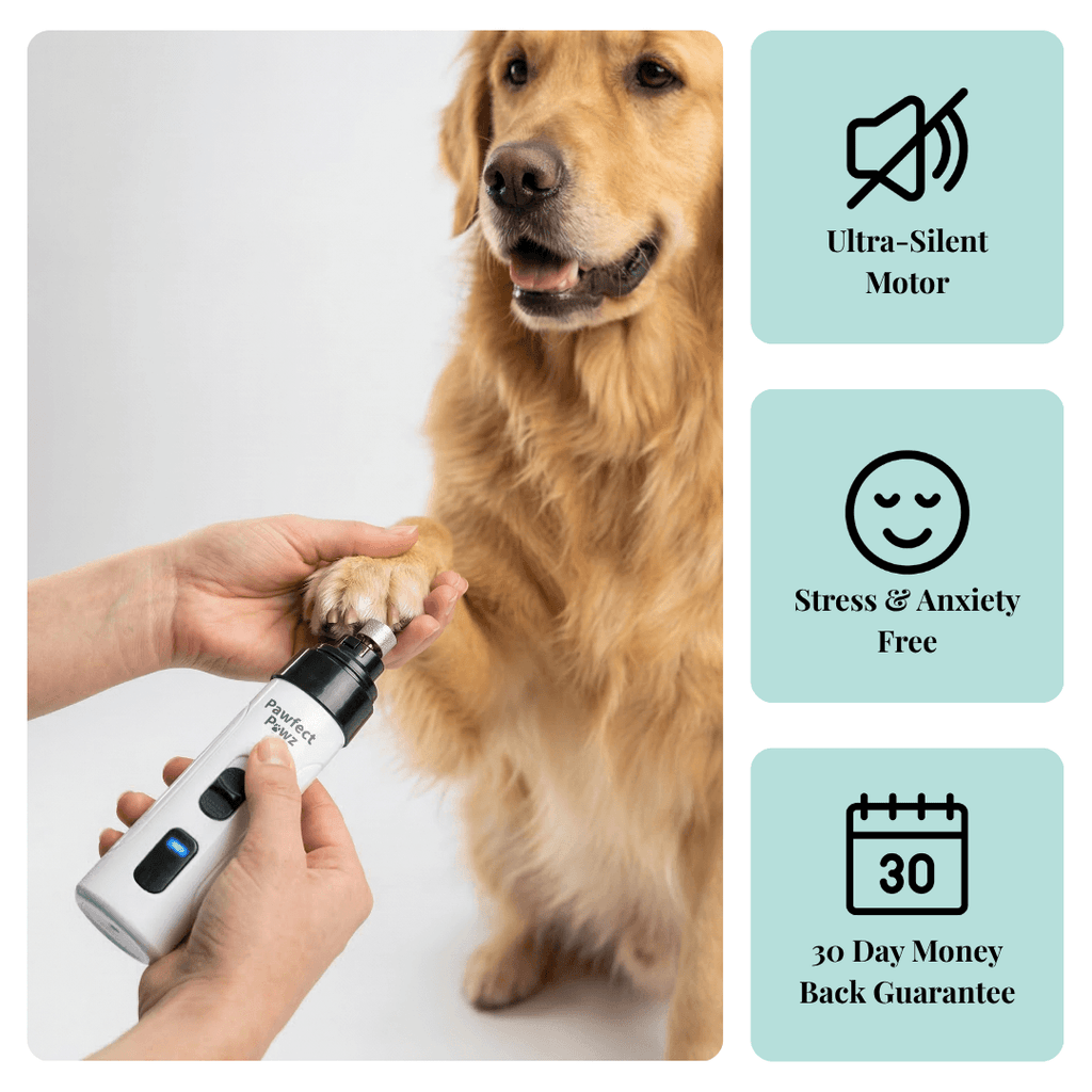 Electric Pet Nail Grinder, USB-C Rechargeable Two-Speed Tool with Three Guards and Diamond Grinding Head source image 1