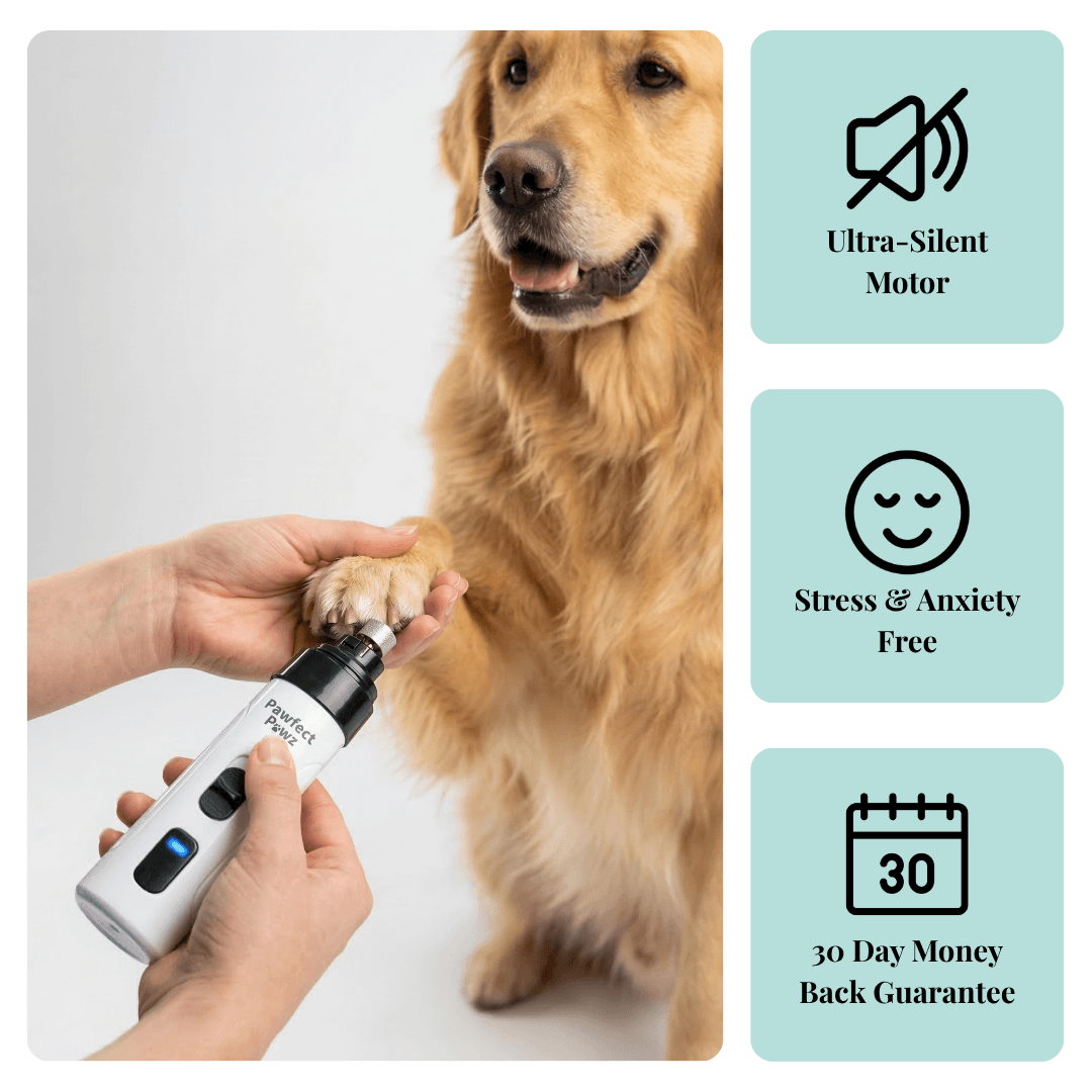Electric Pet Nail Grinder, USB-C Rechargeable Two-Speed Tool with Three Guards and Diamond Grinding Head source image 1