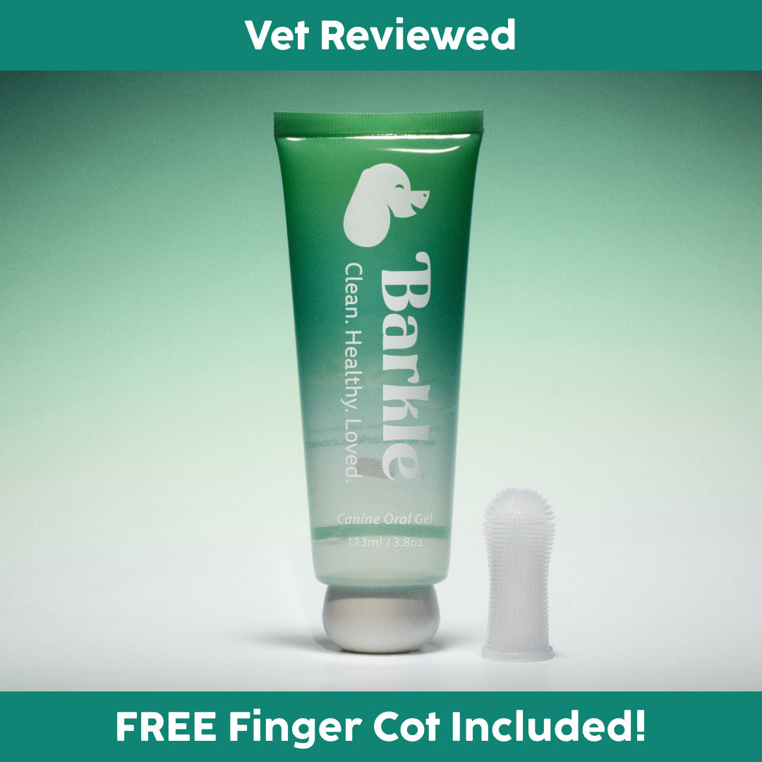 Dog Dental Cleaning Gel for Brush-Free Daily Oral Care, Two-Month Kit in Single and Multi-Pack Sizes source image 1