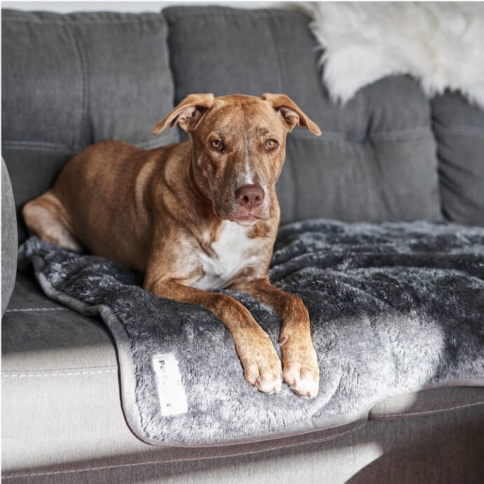 Waterproof Pet Blanket, Reversible Faux Fur and Absorbent Sherpup Layers for Beds, Couches, Crates and Cars source image 1