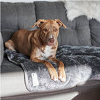 Waterproof Pet Blanket, Reversible Faux Fur and Absorbent Sherpup Layers for Beds, Couches, Crates and Cars source image 1