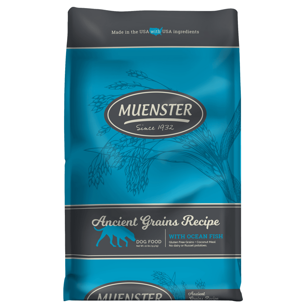 A bag of Muenster Ancient Grains Recipe dog food with ocean fish, featuring a blue and gray design with illustrations of grains.