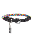 Rainbow Rope and Leather Dog Collar, Round Anti-Matting Design with Chrome Hardware in Nine Sizes source image 1