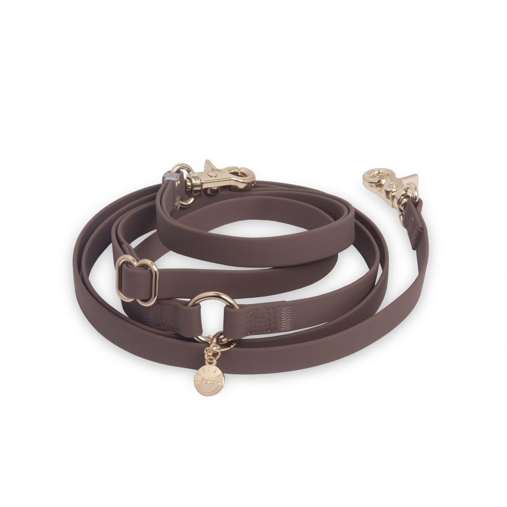 Hands-Free Dog Leash in Espresso Brown, Four Convertible Carry Modes in Standard and Wide Widths source image 1