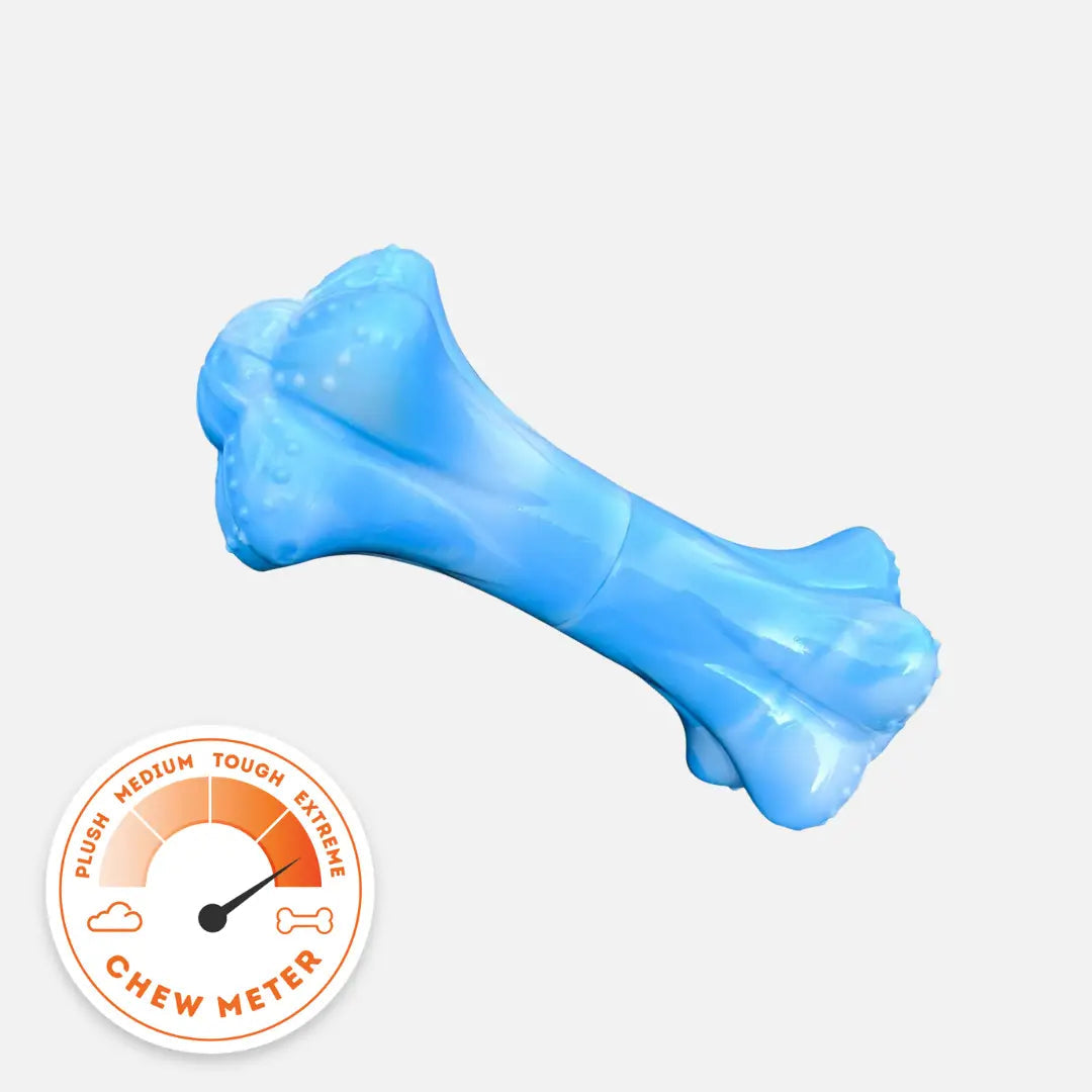 Musical Bone Dog Chew Toy in Tough Nylon for Enthusiastic Chewers and Engaging Sound Play at Home source image 1
