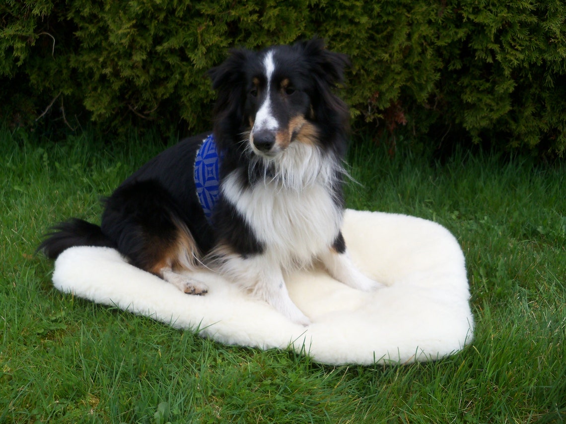 Sheep Wool Pet Mat, One-Inch Natural Wool Pile with Rubber or Cotton Canvas Backing in Six Sizes source image 1