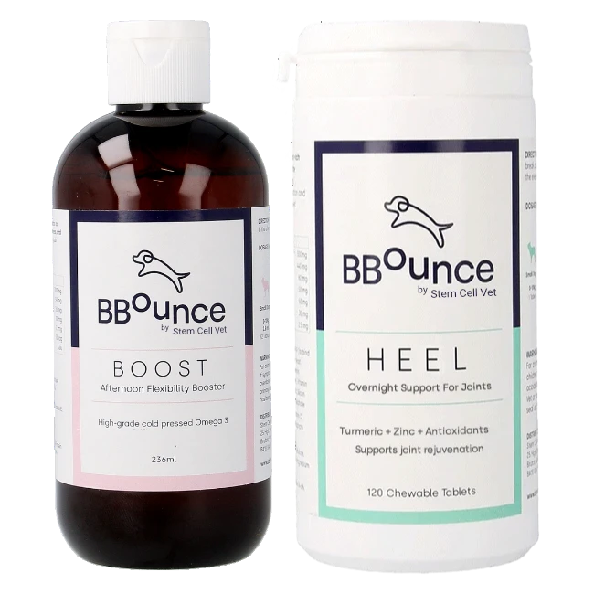 Dog Joint Supplement Bundle for Everyday Mobility, Collagen Formation and Bone Health Support at Home source image 1