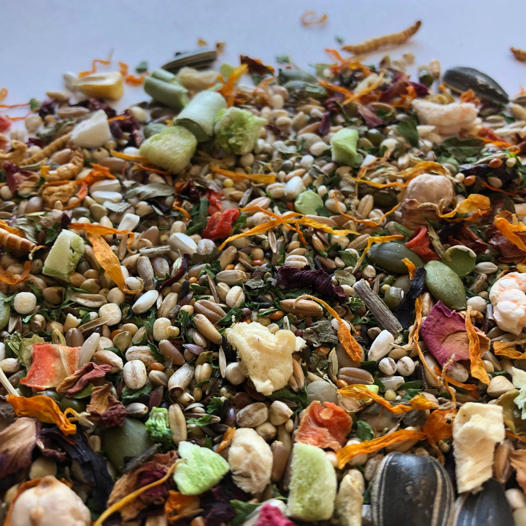 Syrian Hamster Food Mix, Age-Specific Young and Adult Recipes Featuring Seeds, Grains and Insects source image 1