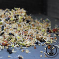 Organic Bird Seed Sprouting Mix of 12 Seeds and Grains, Packaged from 1 lb Bags to 35 lb Buckets source image 1