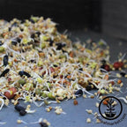 Organic Bird Seed Sprouting Mix of 12 Seeds and Grains, Packaged from 1 lb Bags to 35 lb Buckets source image 1