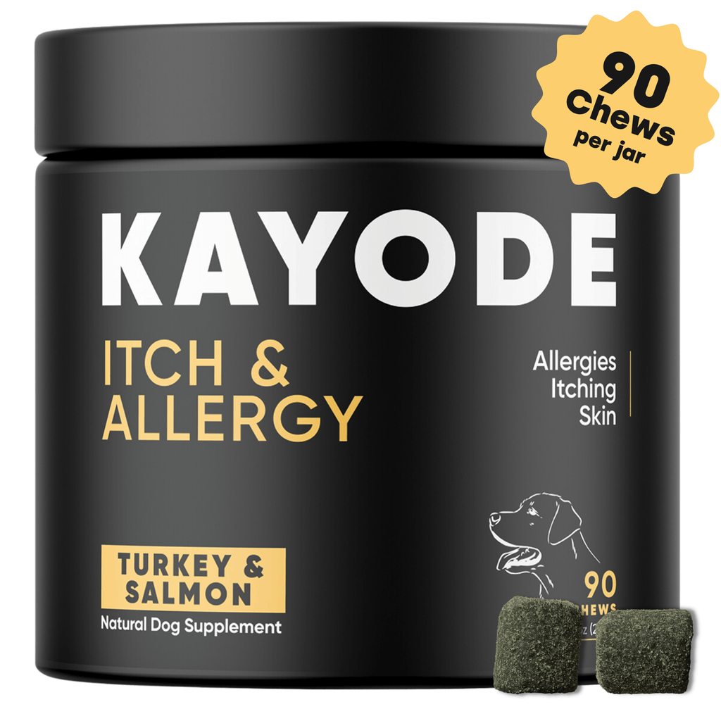 Dog Itch and Allergy Support Chews for Skin and Immune Response, Offered in One- to Six-Pack Quantities source image 1