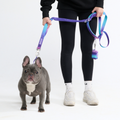 Hands-Free Dog Leash and Waste Bag Holder Set, Bungee Control and Dual Handles for Everyday Walks source image 1