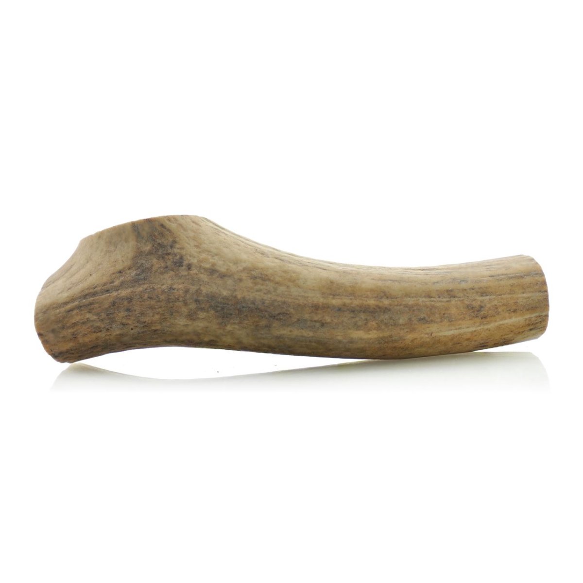 Large Whole Elk Antler Dog Chew, Naturally Shed Eight-Inch Treat for Powerful Chewers and Long-Lasting Play source image 1