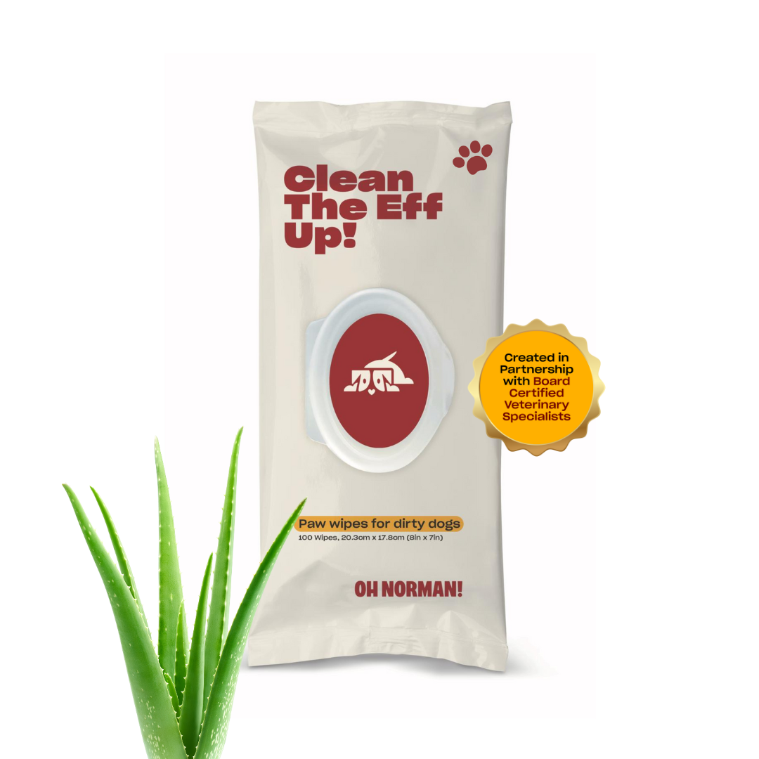Dog Paw Cleaning Wipes for Quick Post-Walk Cleanup, Veterinary-Specialist Developed Care for Dirty Paws source image 1