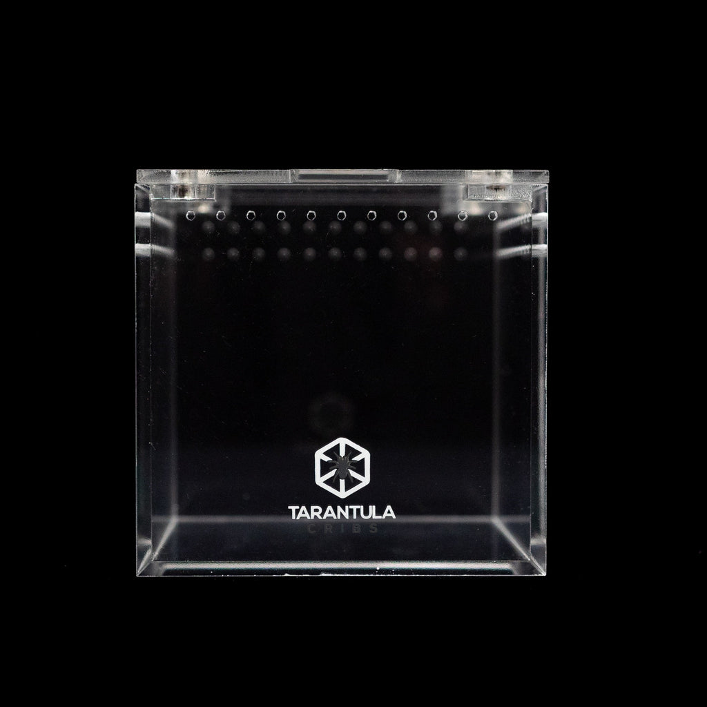 Four-Inch Acrylic Tarantula Terrarium, Compact Cube in Standard, Mesh, Max-Vent and Canopy Lid Styles source image 1