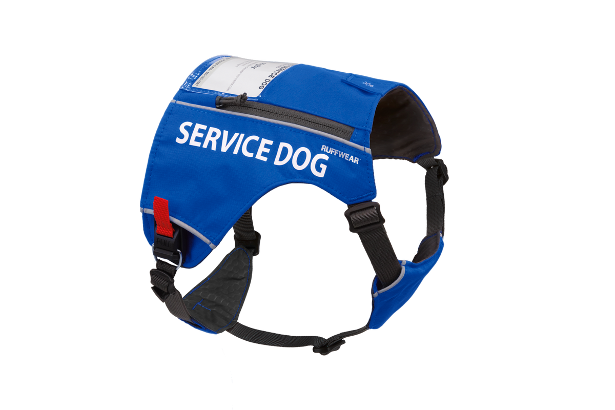 Service Dog Identification Vest, Clear ID Window and Reflective Trim Across Six Size-Color Combinations source image 1