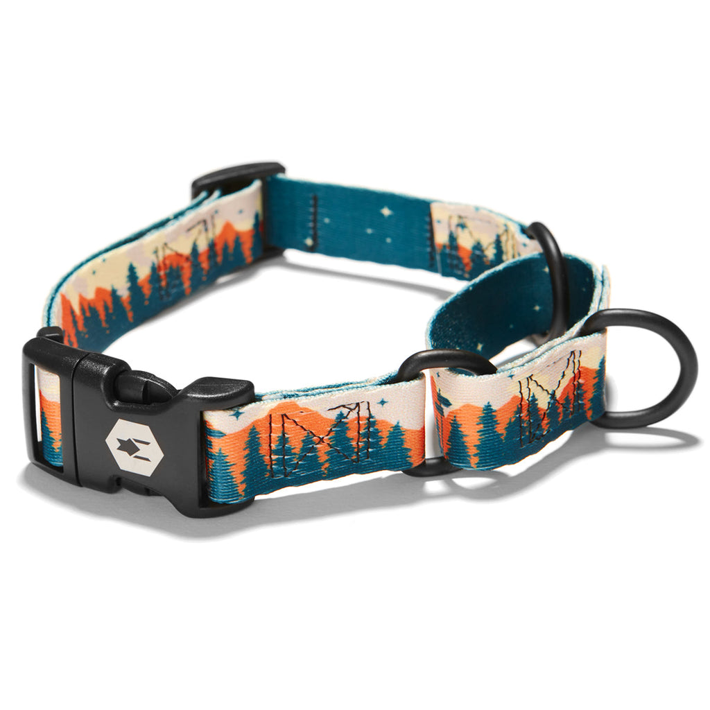 Martingale Dog Collar for Outdoor Walks in a Dusty Trail Pattern, Offered in Four Measured Sizes source image 1