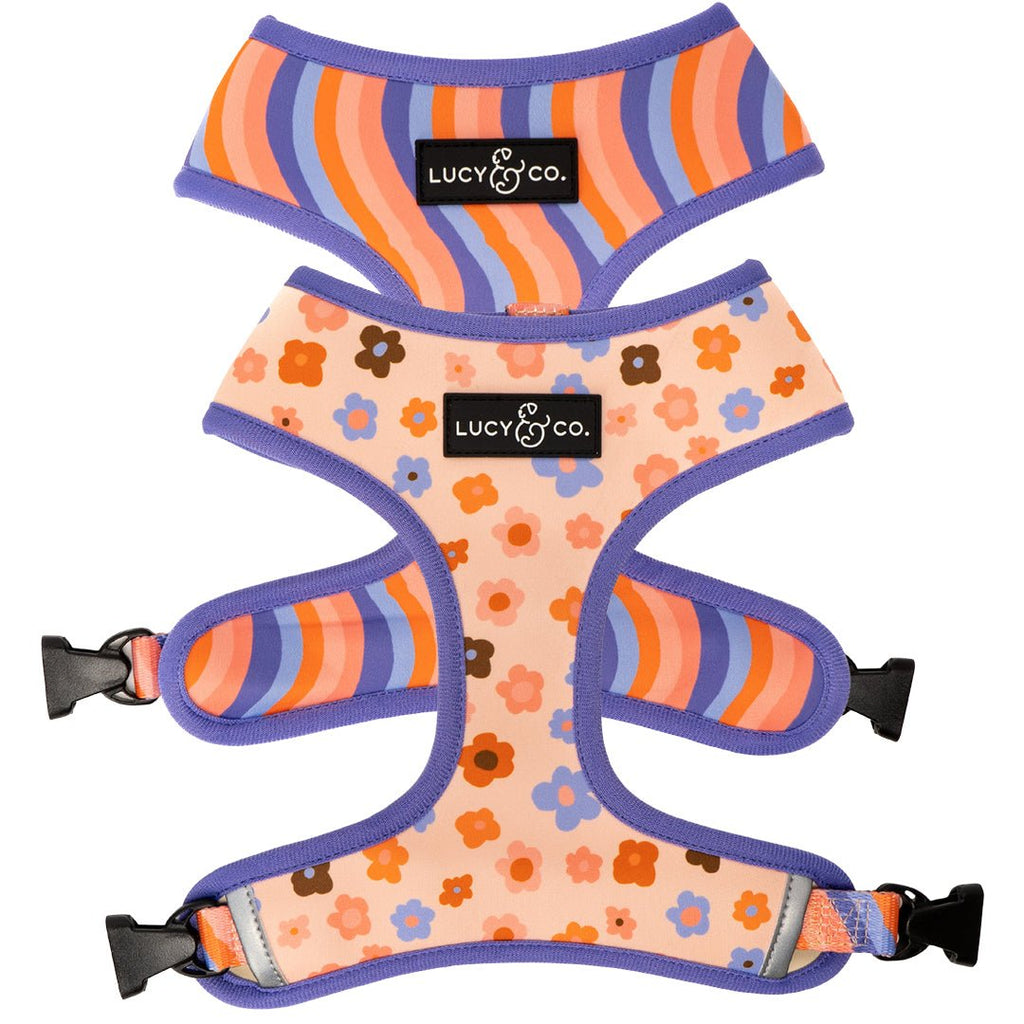 Reversible Floral Dog Harness in Water-Repellent Neoprene, Flexible Everyday Fit from XS to XL source image 1