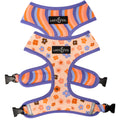 Reversible Floral Dog Harness in Water-Repellent Neoprene, Flexible Everyday Fit from XS to XL source image 1
