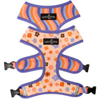 Reversible Floral Dog Harness in Water-Repellent Neoprene, Flexible Everyday Fit from XS to XL source image 1