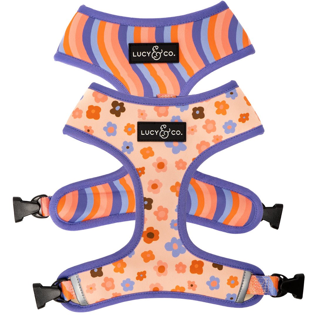 Reversible Floral Dog Harness in Water-Repellent Neoprene, Flexible Everyday Fit from XS to XL source image 1
