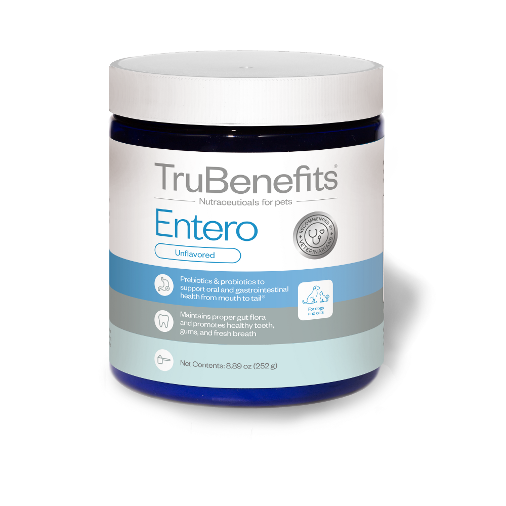 Dog and Cat Probiotic Supplement for Daily Oral and Digestive Support in Weight-Based Multi-Pack Sizes source image 1