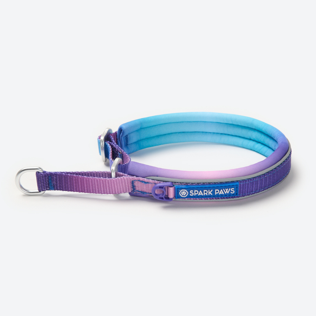 Cushioned Martingale Dog Collar for Gentle Leash Guidance, Limited-Cinch Design in Five Sizes source image 1