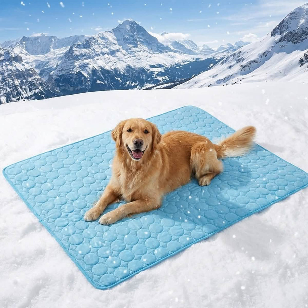 Self-Cooling Dog Mat in Three Crate-Friendly Sizes, Ice Silk Surface for Indoor, Car and Summer Rest source image 1