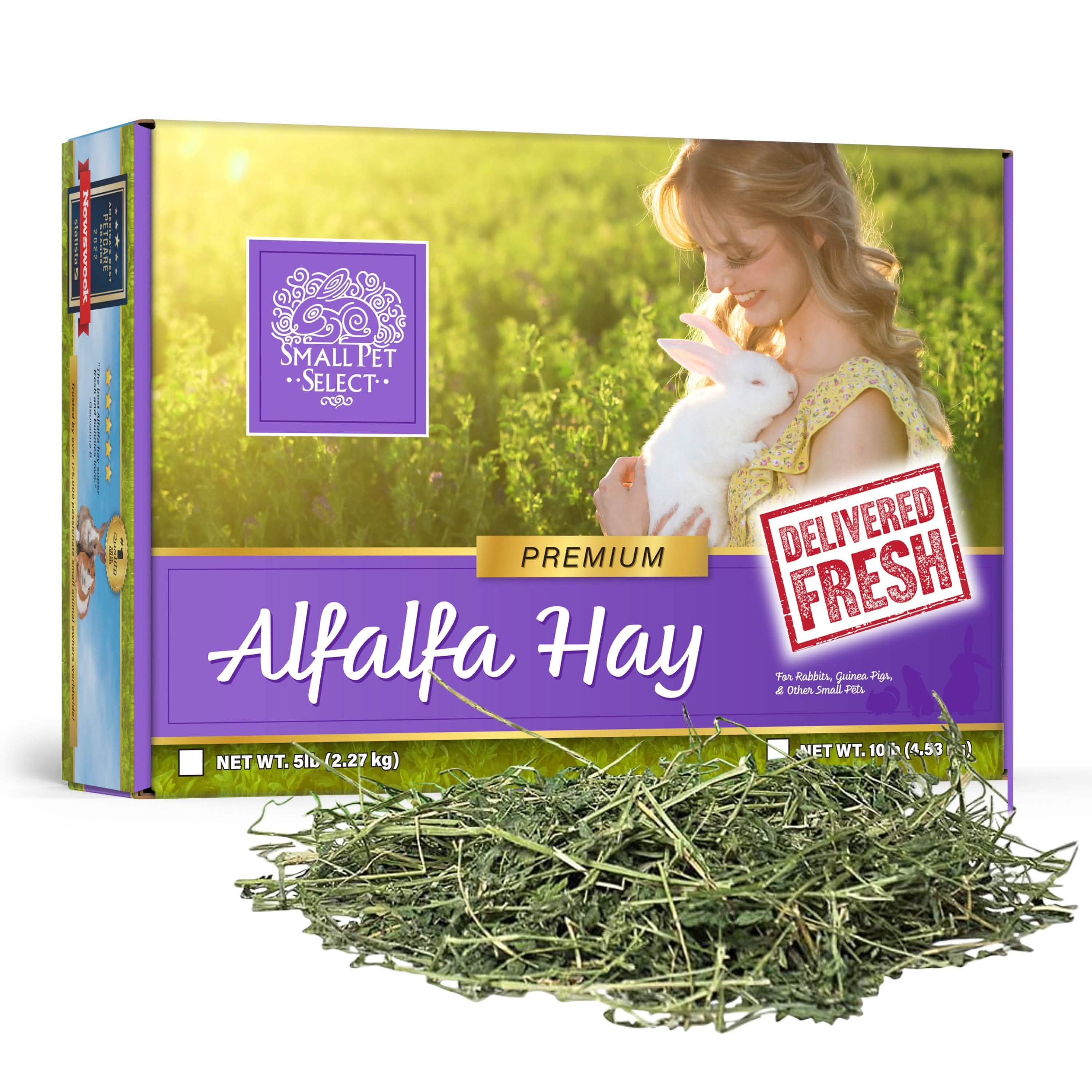 Long-Strand Alfalfa Hay for Young Rabbits and Small Pets, Hand-Packed in 2, 5, 10 or 20 lb Boxes product image 1