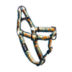 Adjustable Dog Walking Harness in Abrasion-Resistant Webbing for Secure Everyday Outdoor Adventures source image 1