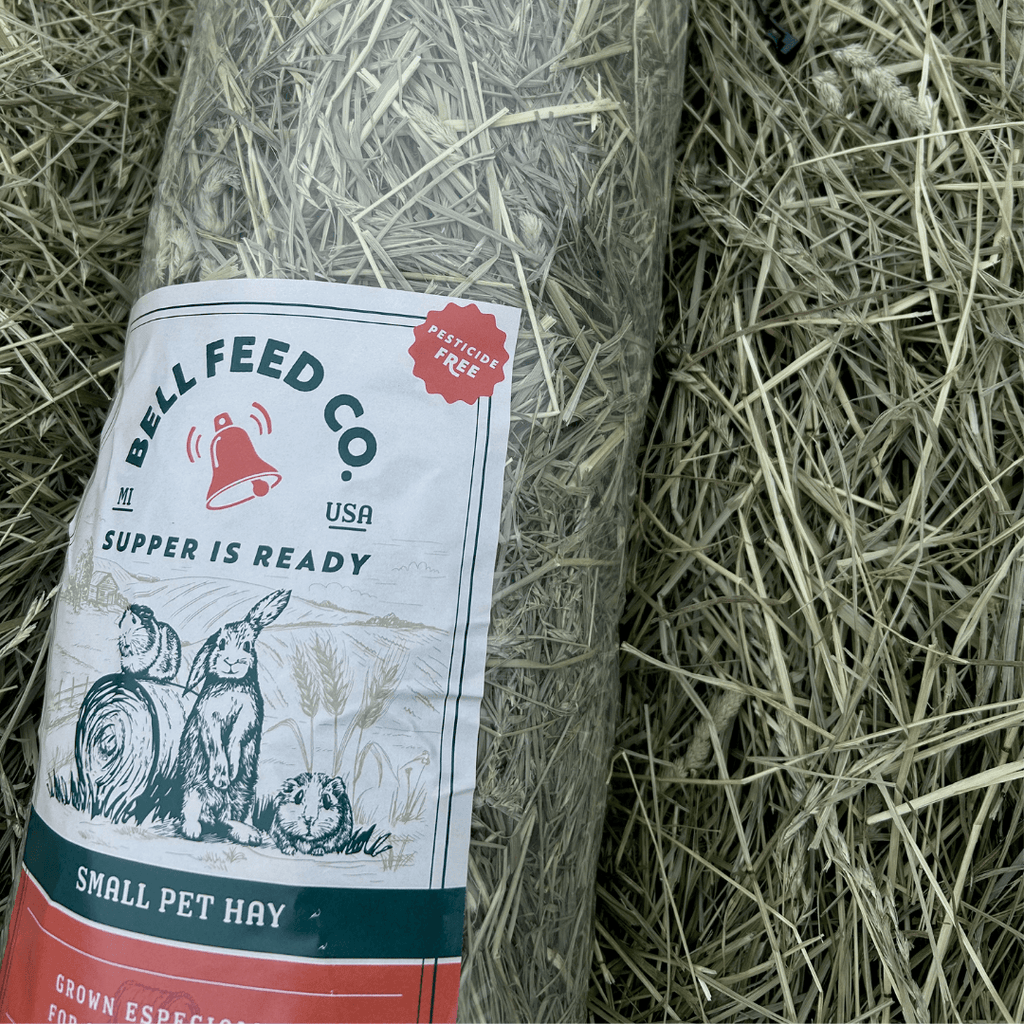 First-Cutting Timothy and Orchard Grass Hay Blend, Hand-Packed High-Fiber Feed in Six Bag Sizes source image 1