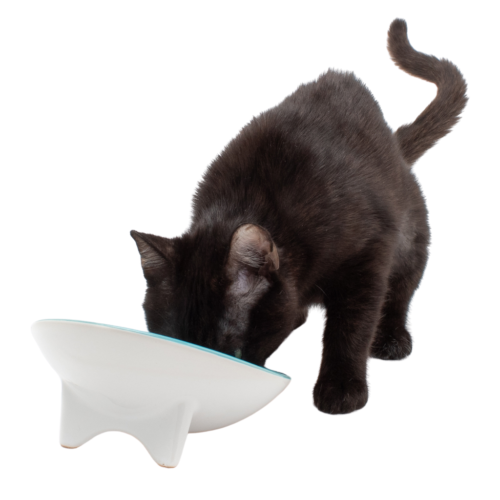 Tilted Ceramic Cat Bowl with Wide Oval Shape for Whisker-Friendly Wet and Dry Food Mealtimes source image 1