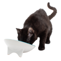 Tilted Ceramic Cat Bowl with Wide Oval Shape for Whisker-Friendly Wet and Dry Food Mealtimes source image 1