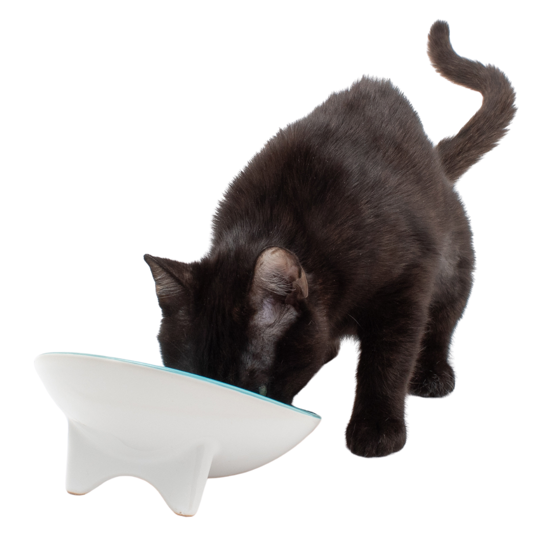 Tilted Ceramic Cat Bowl with Wide Oval Shape for Whisker-Friendly Wet and Dry Food Mealtimes source image 1
