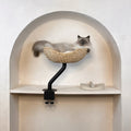 Rotating Desk-Mounted Cat Bed with Tool-Free Clamp, Handwoven or Birchwood Nest for Cats up to 45 lb source image 1