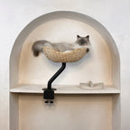 Rotating Desk-Mounted Cat Bed with Tool-Free Clamp, Handwoven or Birchwood Nest for Cats up to 45 lb source image 1