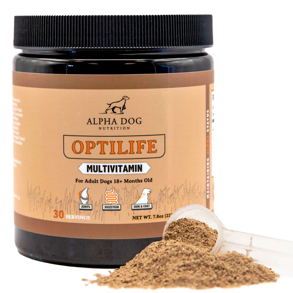 Whole-Food Adult Dog Multivitamin Powder for Daily Joint, Digestion, Immune and Skin Support source image 1