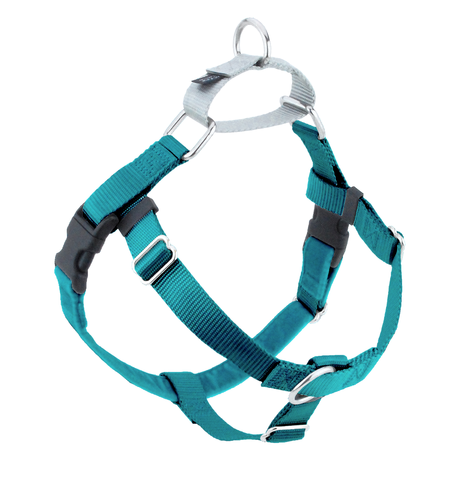 Teal No-Pull Dog Harness for Guided Walks, Front and Back Control Points with Velvet-Lined Chest Strap source image 1