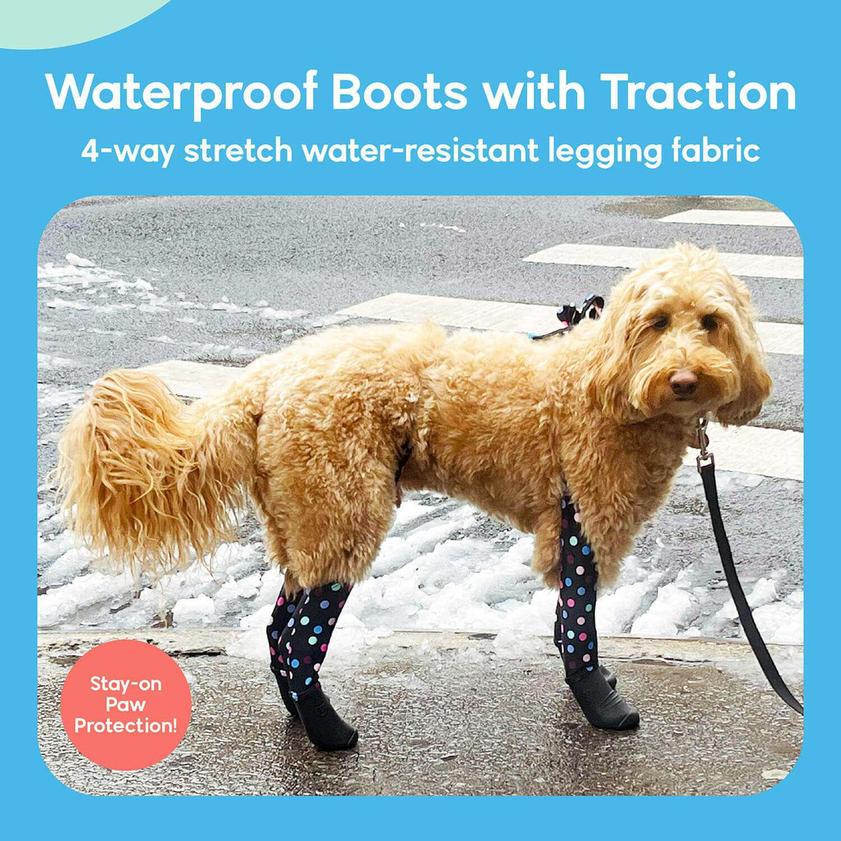Waterproof Dog Boot Leggings for Winter Walks, Seam-Free TPE Paw Covers and Full-Leg Protection source image 1
