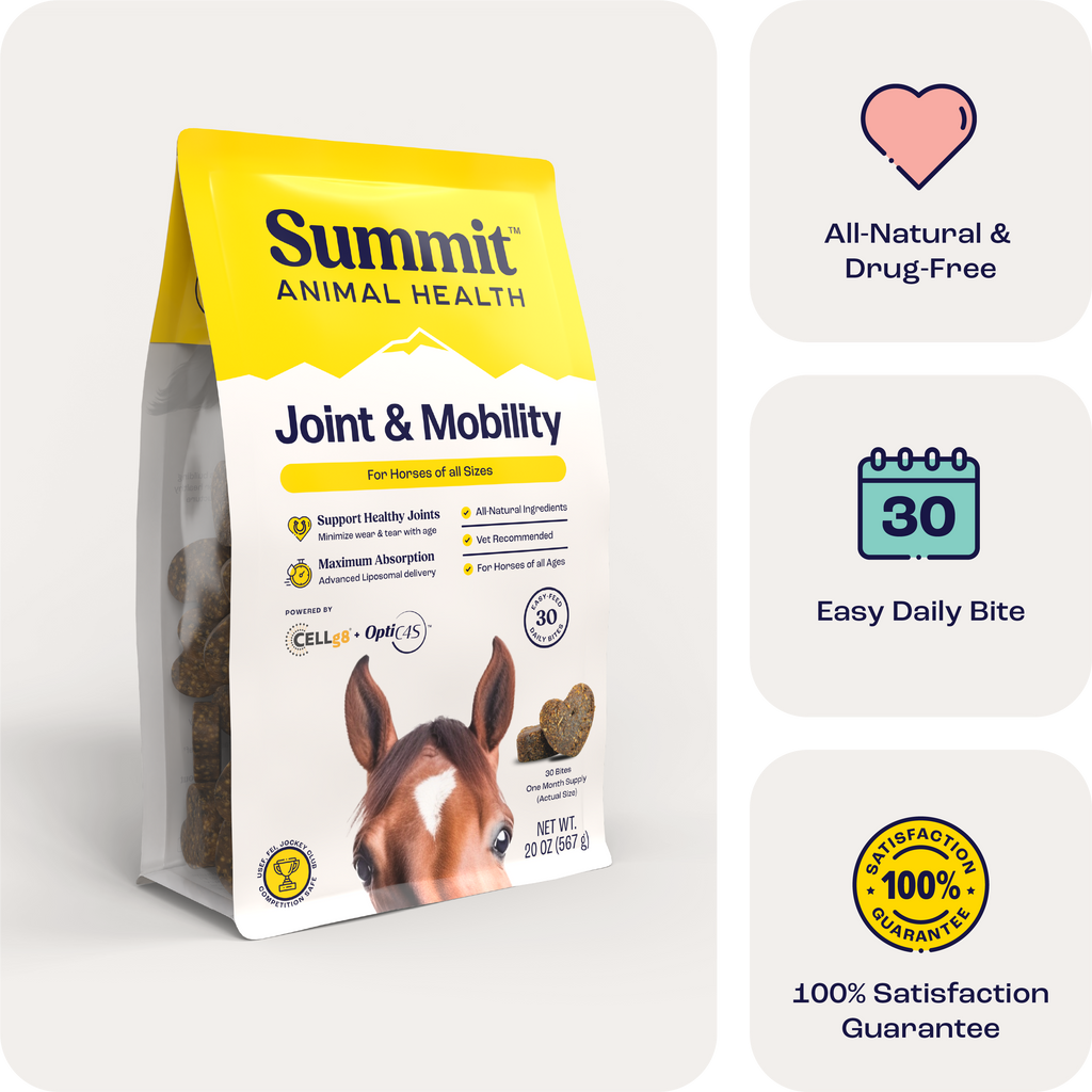 Horse Joint Mobility Supplement Bites for Daily Feed Support Using Liposomal Delivery Technology product image 1
