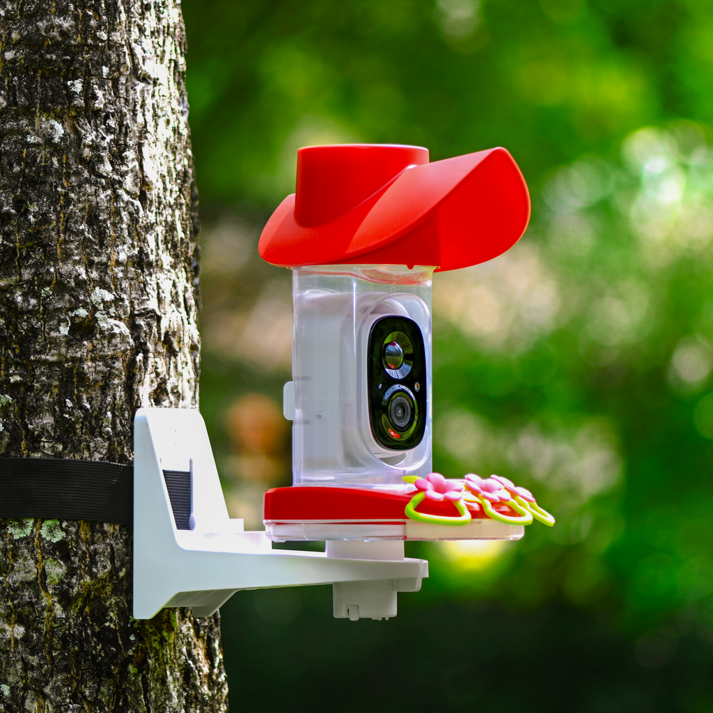 Smart Solar Hummingbird Feeder Camera, 2K Video Monitoring, Leak-Resistant Seal and Instant Visit Alerts source image 1