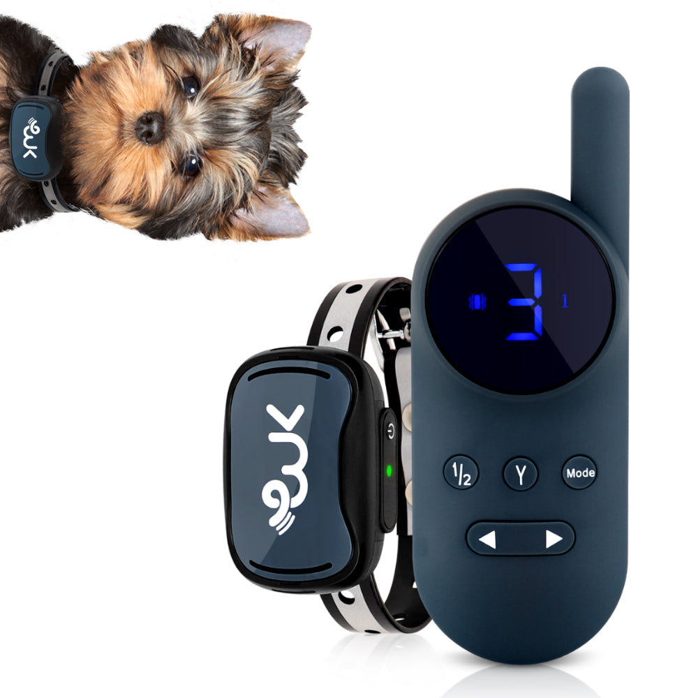 Rechargeable Remote Training Collar for Small Dogs, 1,000-Foot Range plus Tone, Vibration and Static Modes source image 1
