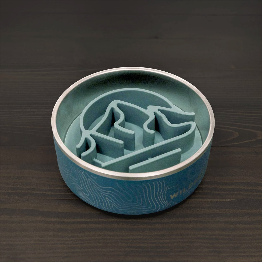 Silicone Slow Feeder Insert for Dog Bowls, Suction-Base Mealtime Puzzle in Two Practical Sizes source image 1