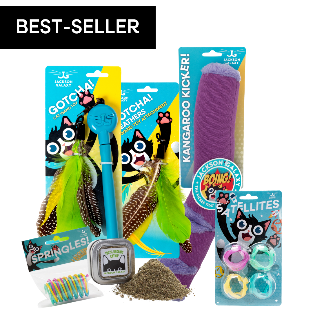 Cat Toy Variety Bundle for Interactive and Independent Play, Chasing, Batting and Hunting Enrichment source image 1